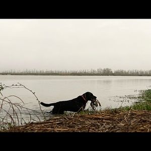 Meet your Posher, Clayton